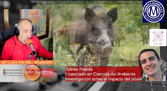 Imagen Noticia