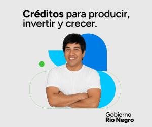 Publicidades